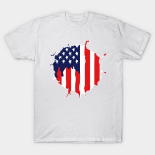 the united state America flag T-Shirt